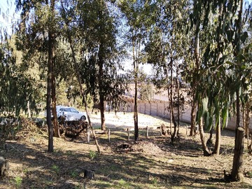Terreno en venta en Excelente inversión plusvalía (176933), Puchuncaví