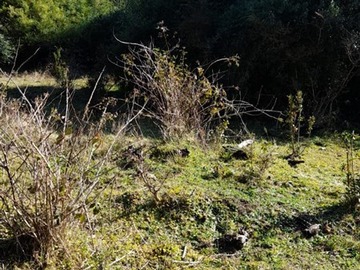 Parcela en venta en Puyehue, Puyehue