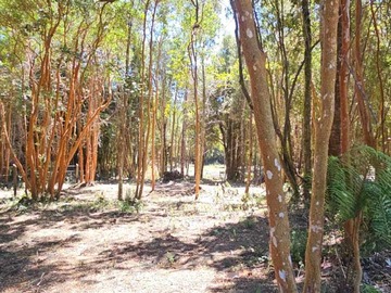 Terreno en venta en Excelente Inversión en Entorno Natural (147152), Puerto Varas