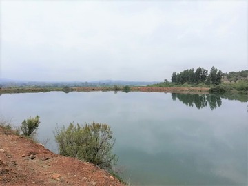 Terreno en venta en Talca Pencahue inversión ideal subdivisión (116368), Pencahue