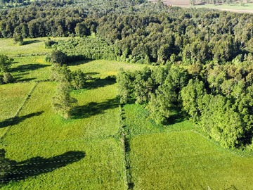 Terreno Agricola en venta en Oportunidad de Inversión, Puyehue 10 hectareas (172182), Puyehue