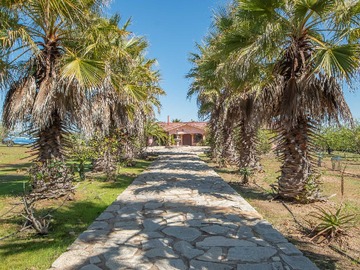 Terreno en venta en Amplia Parcela en venta (138216), Concón - 6 dormitorios