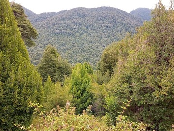 Sitio en venta en trafampulli, Cunco