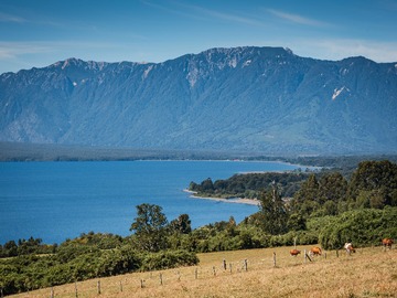 Terreno en venta en Espectaculares parcela con vista Puerto Varas (71041), Puerto Varas