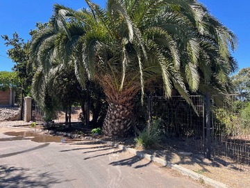 Terreno en venta en Terreno de 5.721 M2 en Campomar II Quintero (170863), Quintero