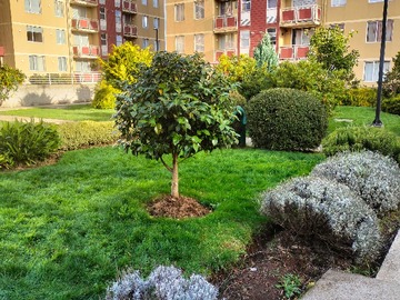 Departamento en venta en Oportunidad de inversión en villarrica (162436), Villarrica - 2 dormitorios, 1 baño