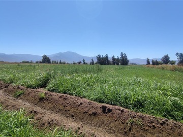 Terreno Agricola en venta en Sector la gloria, María Pinto