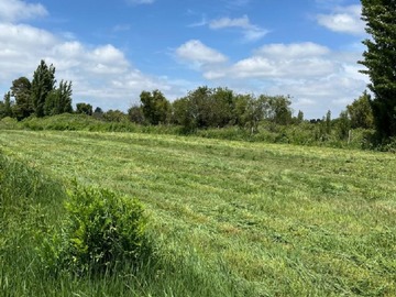 Parcela en venta en Sector Cuñibal, Los Ángeles