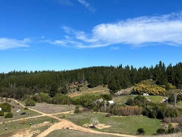 Terreno en venta en 2.5 hectareas en yumbel santa rosa (117044), Yumbel