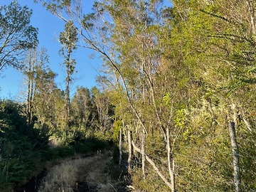 Parcela en venta en Puerto Oscuro sector Huite, Quemchi