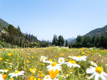 Parcela en venta en camino público el maqui sin número, quebrada alvarado, Olmué