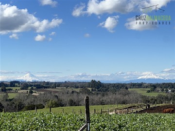 Terreno Agricola en venta en Campo de 65 hectáreas cercano a Cañitas, con maravillosa vista a los volcanes., Los Muermos