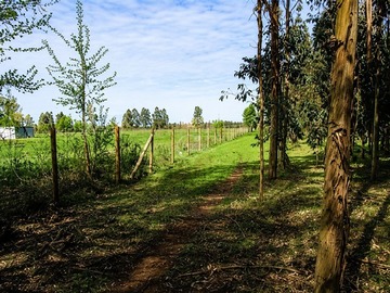 Parcela en venta en Ubicada a 7 km. de la salida Sur de la comuna de Bulnes, por ruta 5 - Sur, Bulnes
