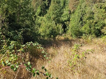 Parcela en venta en km 9 challupen, Villarrica