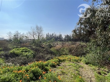 Sitio en venta en Ruta G 555 antes de calle Gran Fortuna, Paine
