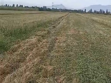 Terreno Agricola en venta en Los guindos los tilos 3980 buin, Buin