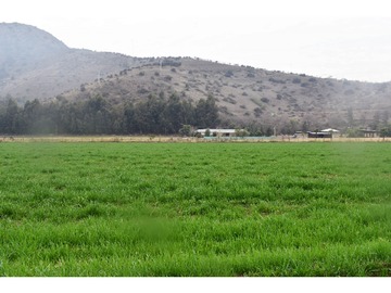 Parcela en venta en Camino a Catemito, Calera de Tango - 3 dormitorios, 2 baños