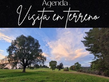 Terreno Agricola en venta en Sector rupanco, Puyehue