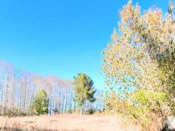 Terreno en venta en Condominio, 18kms de Villarrica via a Pucón (85059), Villarrica