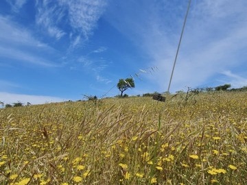 Parcela en venta en Los Manantiales, Litueche
