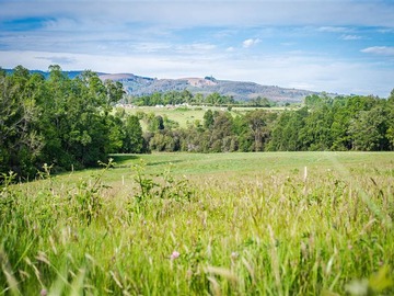 Terreno en venta en Parcelación Agricola Los Cipreses (Etapa 2) 5. 000 m2, Paillaco, Futrono, Valdivia, Paillaco