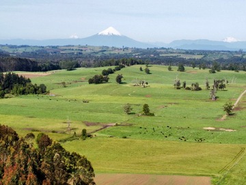 Terreno Agricola en venta en Nueva Braunau, Puerto Varas