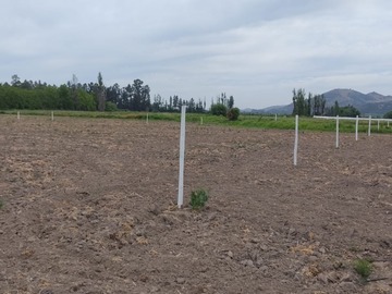 Terreno Agricola en venta en San luis, Pichidegua