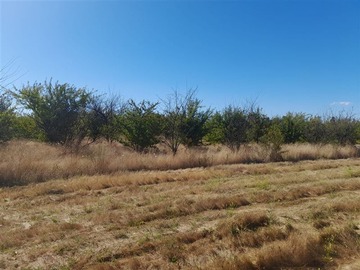Parcela en venta en Ruta K-55 Camino Las Rastras, sector Ranqumil, Talca