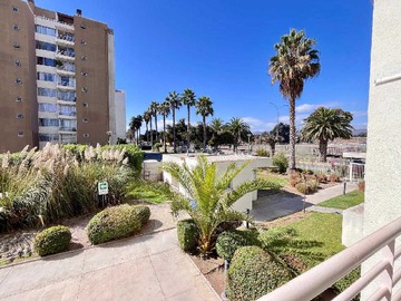 Departamento en arriendo mensual en Arriendo excelente conectividad (159096), La Serena - 1 dormitorio, 1 baño