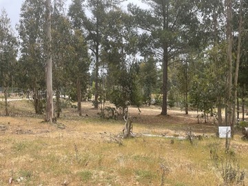 Sitio en venta en Camino los pinares y los aromos antiguo camino al totoral, El Quisco
