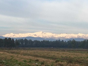 Terreno Agricola en venta en En San Clemente