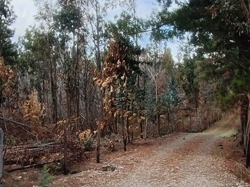 Terreno Agricola en venta en r-228, Angol