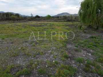 Parcela en venta en Parcelas en coltauco 5.600 m² planas con rol propio, Coltauco