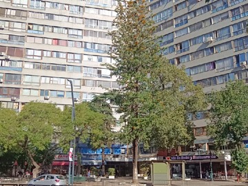 Arriendo Mensual / Departamento / Providencia