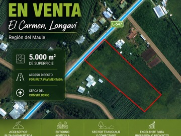 Parcela en venta en Terreno de 5.000 M2, El Carmen, Longaví Región del Maule