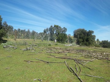Terreno en venta en Ideal inversionistas (169517), Navidad
