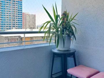 Departamento en arriendo mensual en Inversión Segura en Zona Céntrica (170879), Ñuñoa - 1 dormitorio, 1 baño