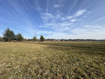 Terreno Agricola en venta en Campo agrícola 45 hectáreas comuna de Bulnes (173026), Bulnes