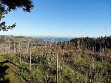 Parcela en venta en Camino Navidad, Navidad