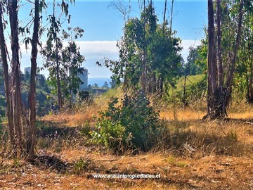 Parcela en venta en federico villaseca, Algarrobo