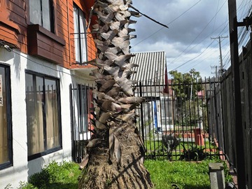Casa en venta en Oportunidad de Inversión en Barrio Tranquilo (178041), Talcahuano - 5 dormitorios, 3 baños