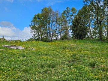 Terreno en venta en Inversión Asegurada: Amplio Sitio para Desarr (130774), Río Negro