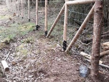 Terreno en venta en Campo 7,4 Has en Río Bueno-Lago Ranco (64744), Valdivia