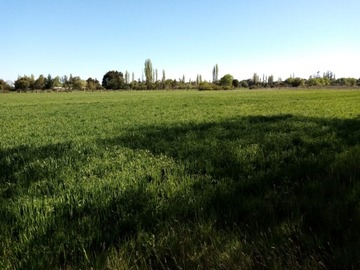 Parcela en venta en Sector Unión Cancha El Álamo - Camino Las Mariposas, Coihueco