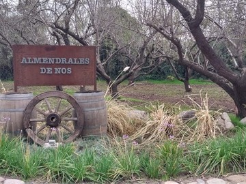 Parcela en venta en Camino Padre Hurtado y acceso sur, Buin