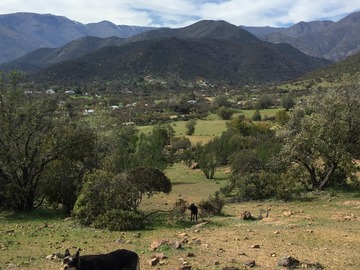 Terreno en venta en Colliguay, Quilpué