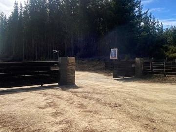 Terreno Agricola en venta en Alto Colorado, Pichilemu