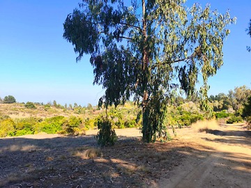 Terreno en venta en Exclusiva parcela | cond. San francisco tunquén (178040), Algarrobo - 3 dormitorios, 2 baños