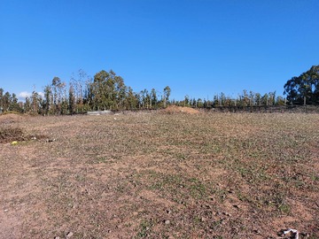 Terreno en venta en Campomar 1 (170228), Quintero