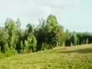 Terreno Agricola en venta en El mañio con yerbas buenas los muermos, Los Muermos